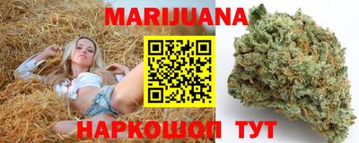 гашик Новокубанск
