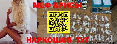гашик Новокубанск
