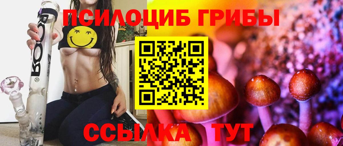 Галлюциногенные грибы Cubensis Тайшет