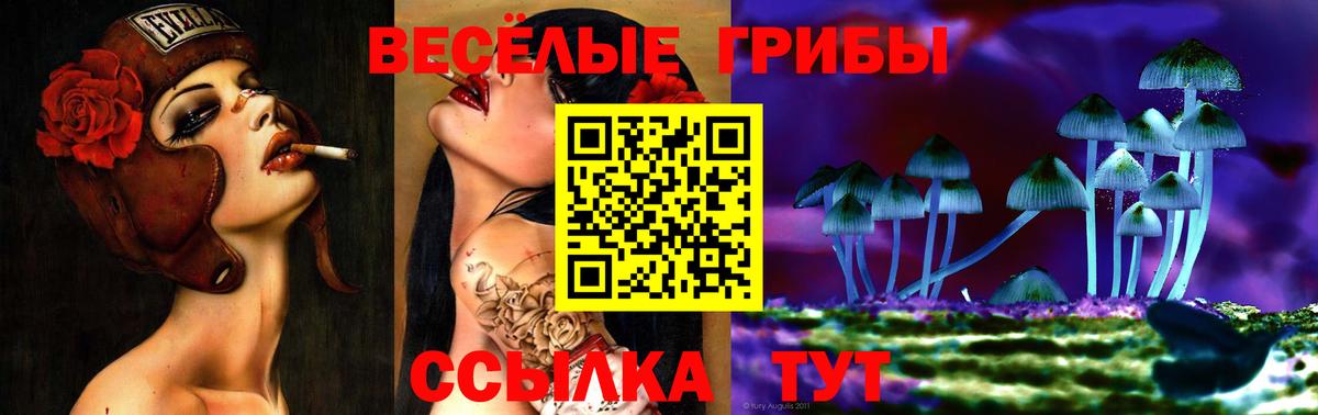 Тайшет  Псилоцибиновые грибы MAGIC MUSHROOMS  цена наркотик  Вход с VPN 